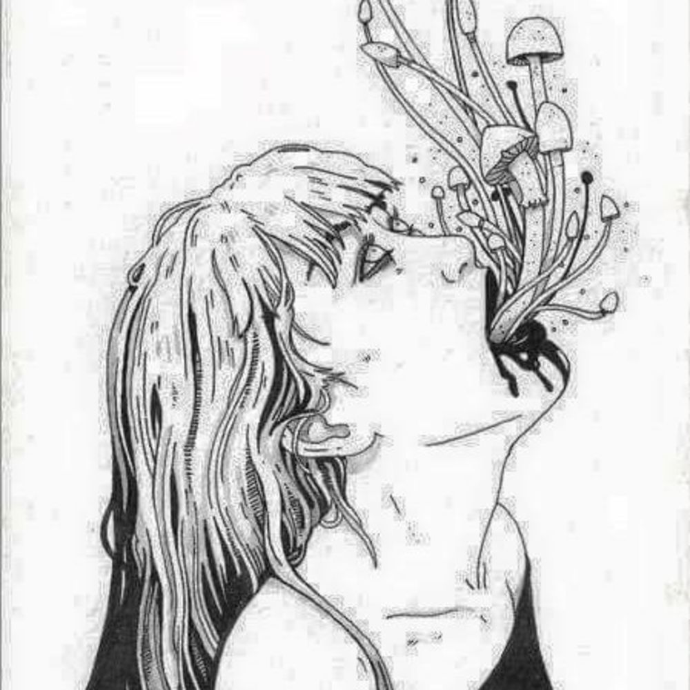 Meet your Posher, Ami